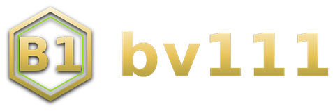 bv111 logo